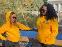 Load image into Gallery viewer, SJL Gold